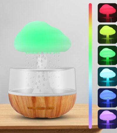 Rain Cloud Humidifier